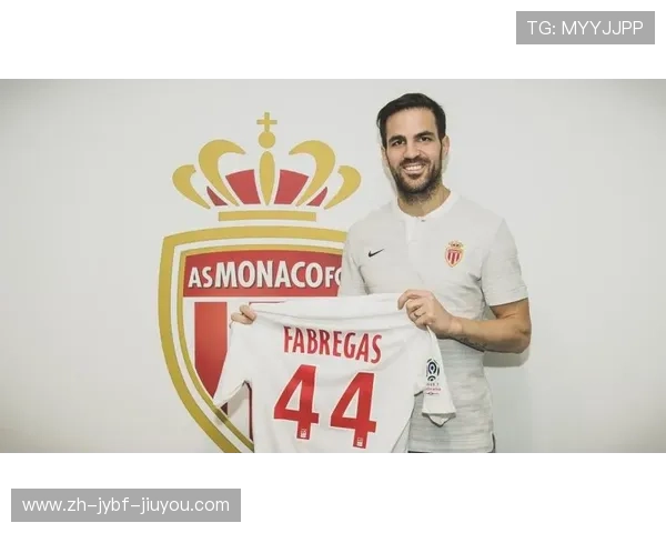 法甲外籍球员比例及国籍分布数据分析